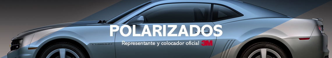 Polarizados